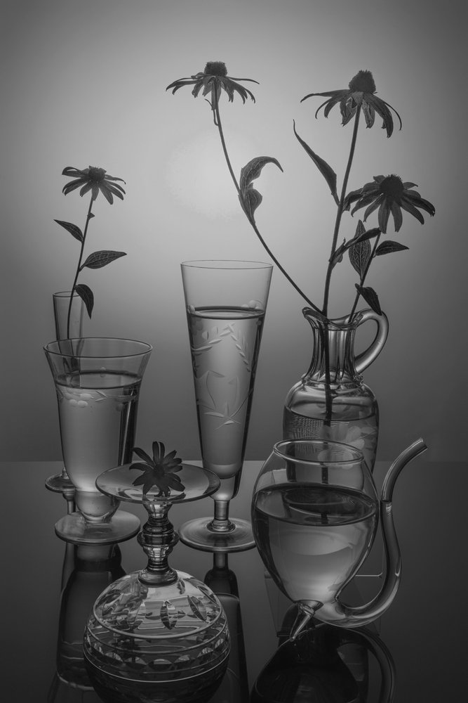 Monokrome blomster og glas af Anna Qu