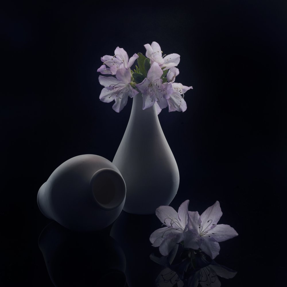Stemningsfulde blomster og vaser af Anna Qu