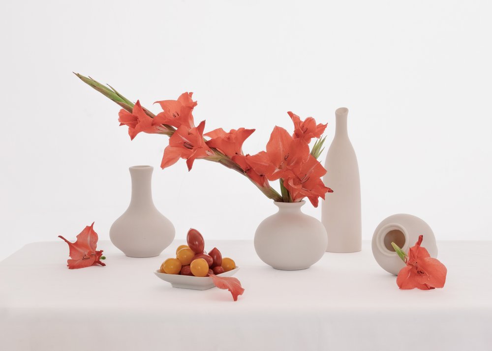 Orange Gladiolus Still Life af Anna Qu