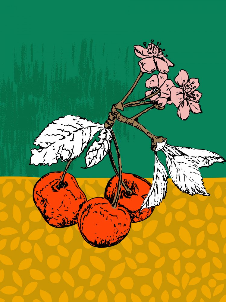 Kirsebærtræets blomster af Annick