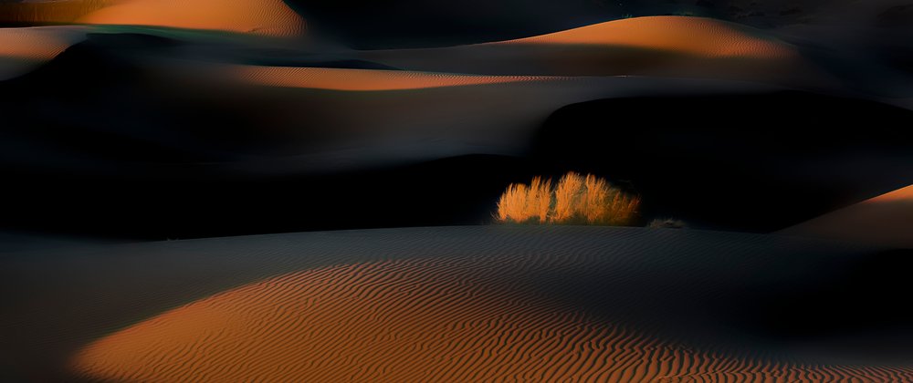  af Asef Azimaie