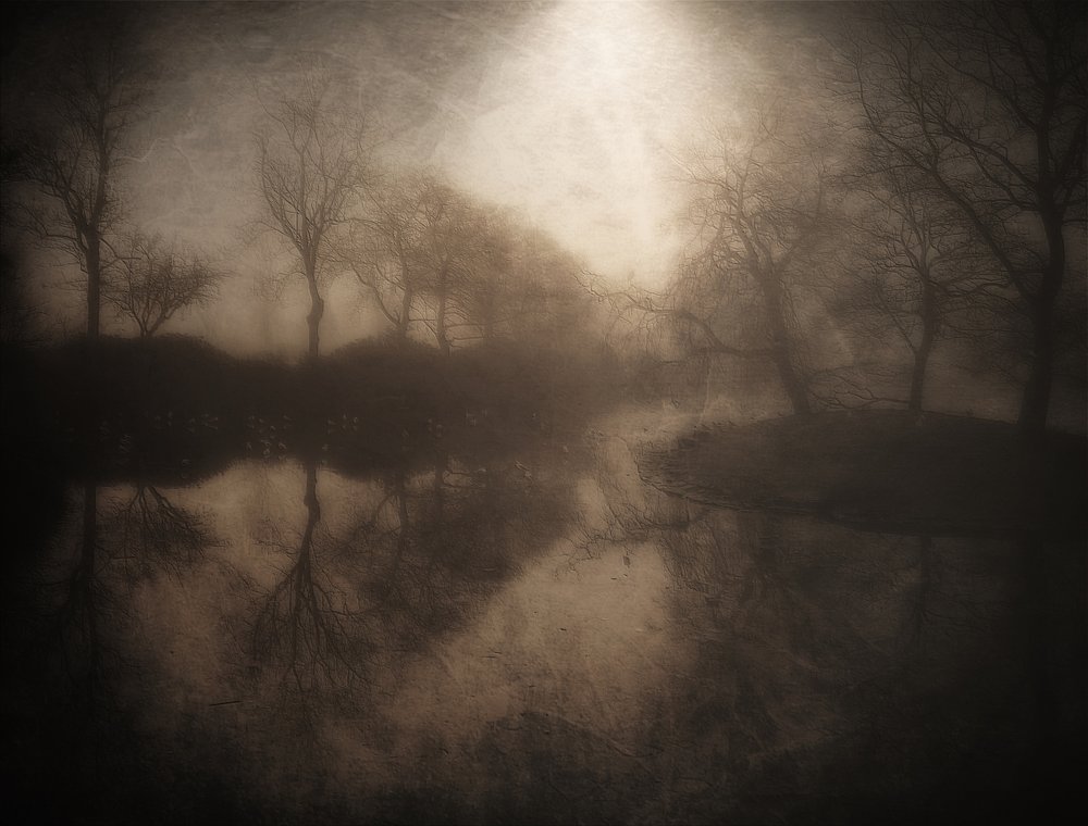 Refleksion i den tågede skov af Bill Eiffert
