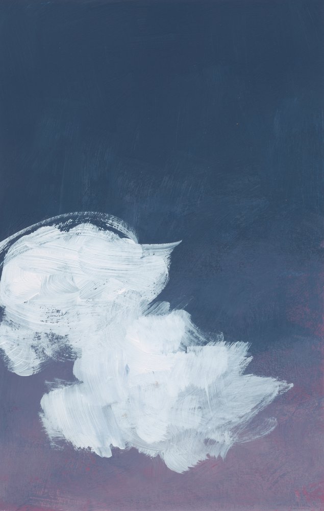 Indigo-natteskyer af Bronwyn Baker