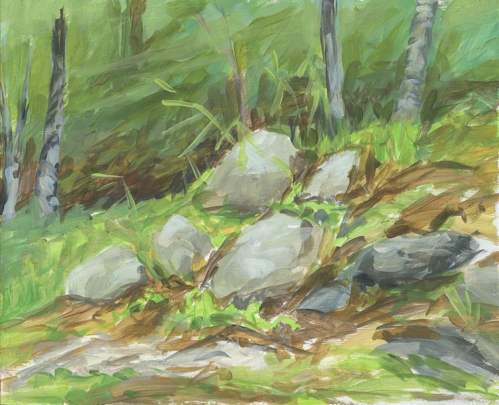 Green Forest Rocks af Carrie Arnold