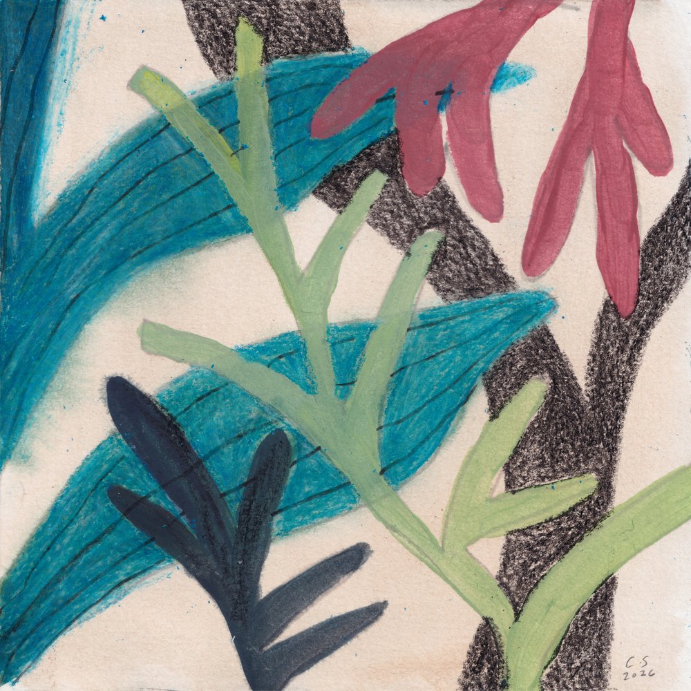 Farverigt, abstrakt løv af Catalina Somolinos