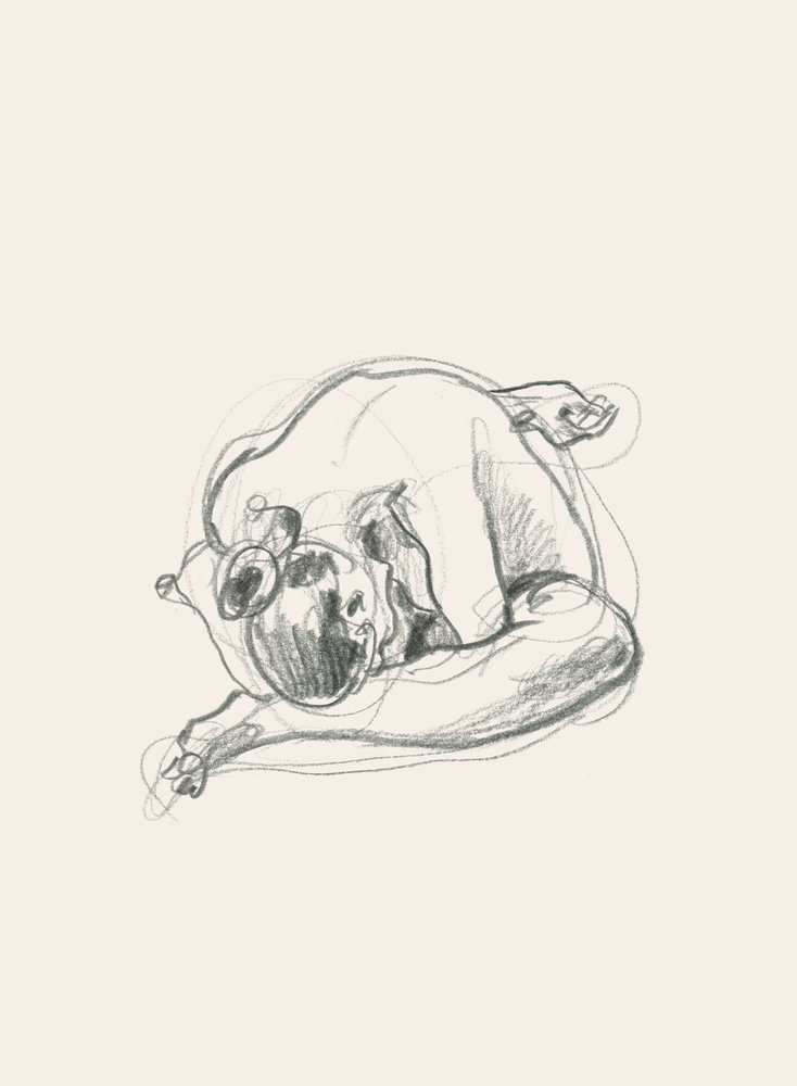 Stille, sammenkrøbet skikkelse af Catalina Somolinos