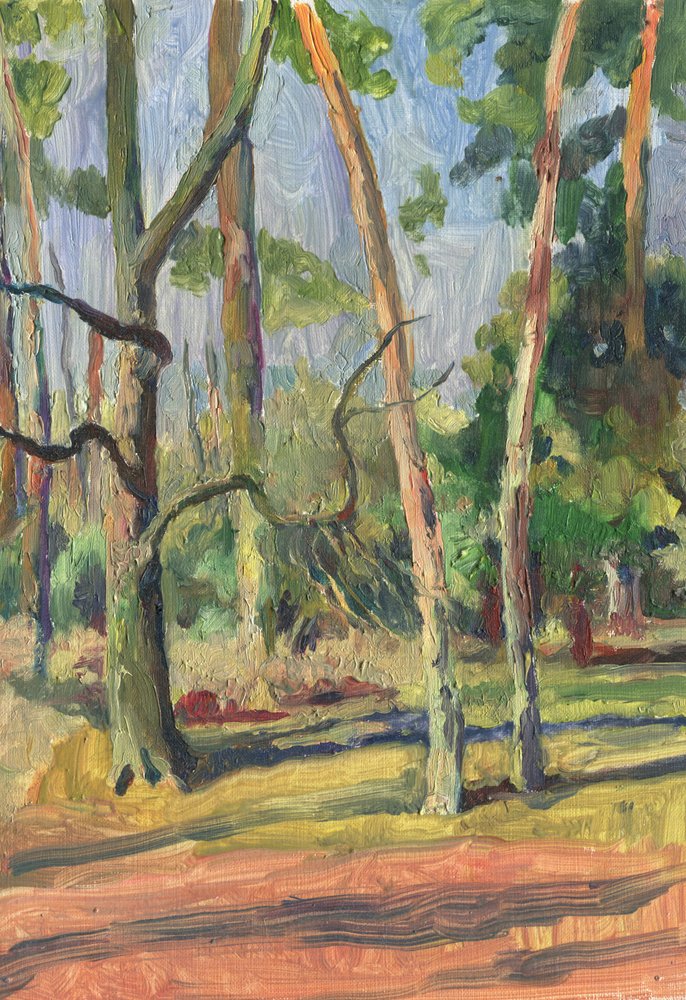 Solbeskinnet skovsti af Catalina Somolinos