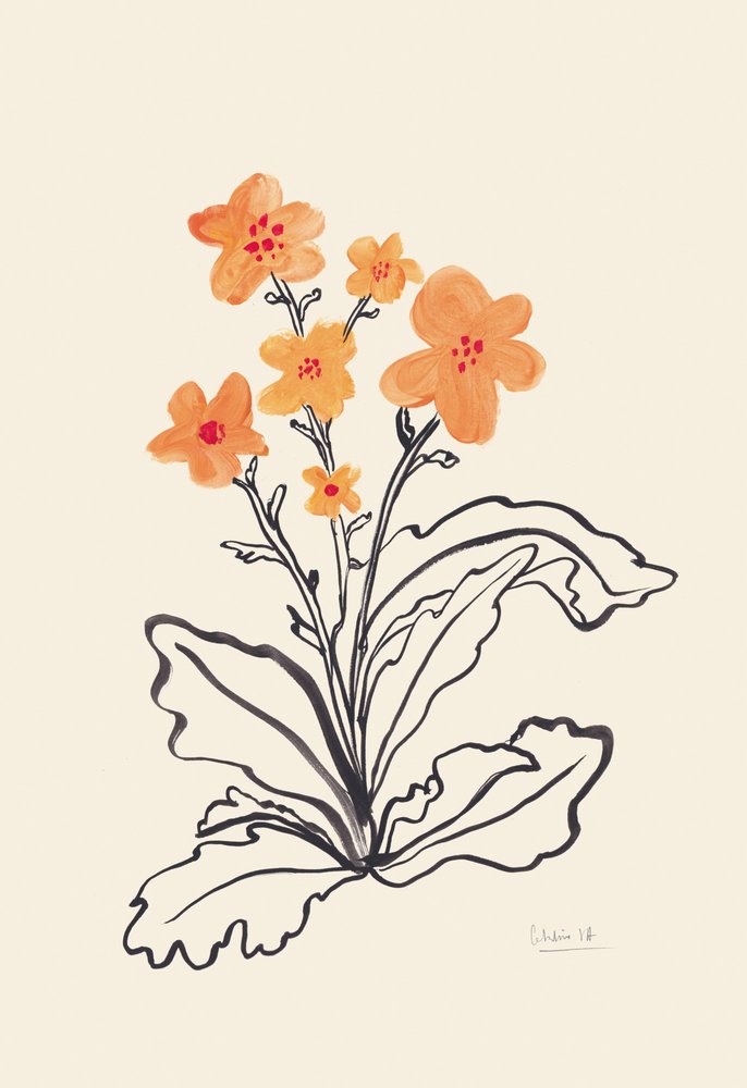 Levende orange blomster af Catalina Somolinos