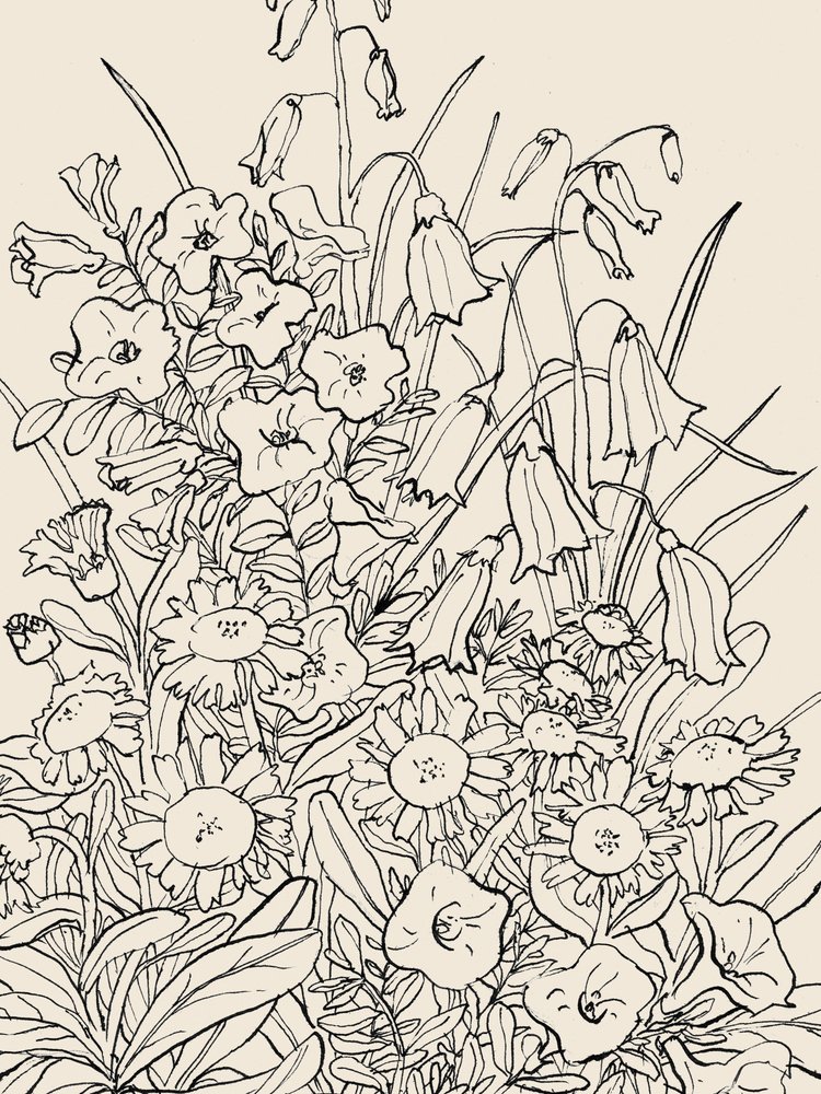 Vilde haveblomster af Catalina Somolinos