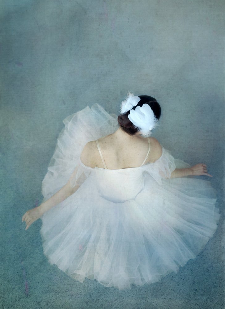 Elegant Ballerina Swan af Catherine Wang