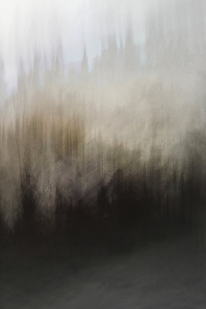 Abstrakt skovs ro af Christina Sillen