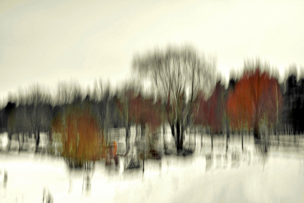 Abstrakt vinterskov af Christina Sillen