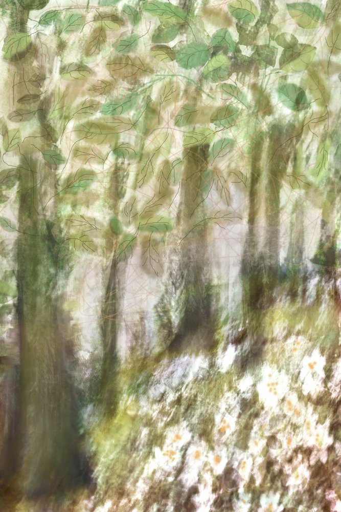 Drømmende skovblomster af Christina Sillen