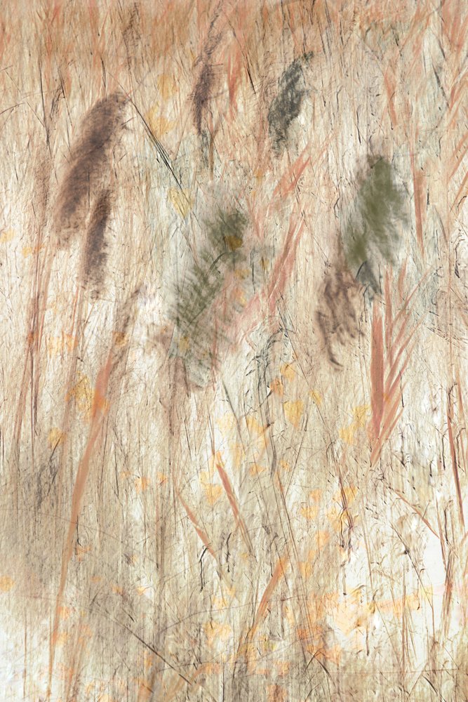  af Christina Sillen