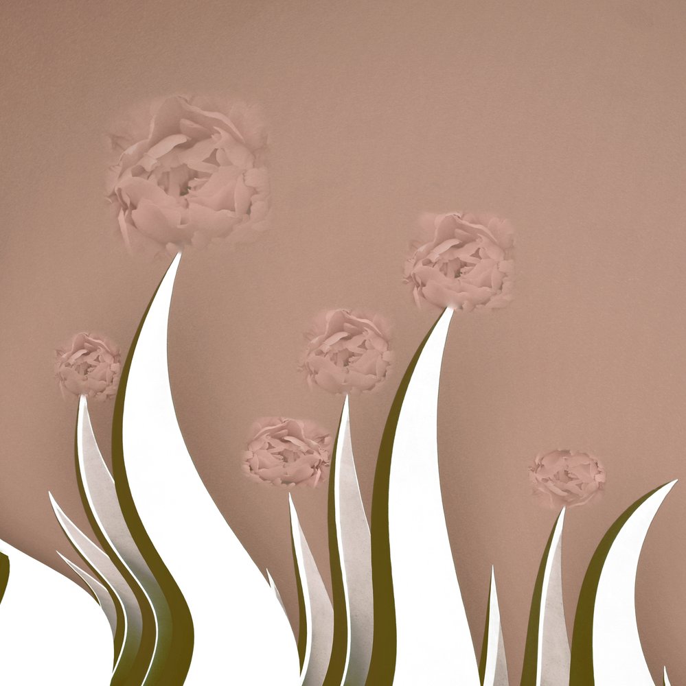 Minimalistiske lyserøde blomster af Christina Sillen