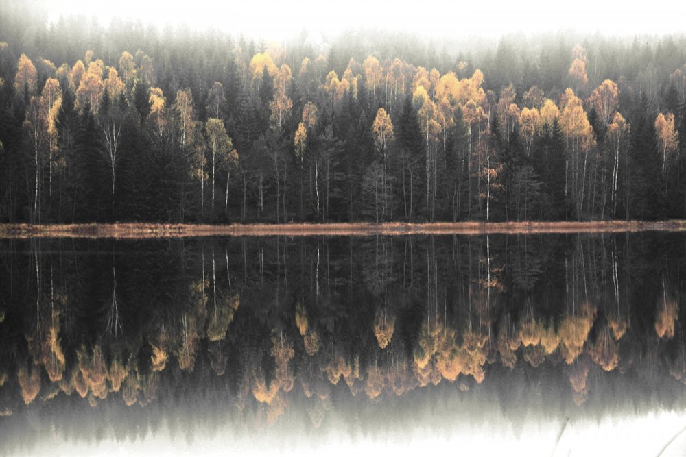 Tåget efterårsrefleksion af Christina Sillen