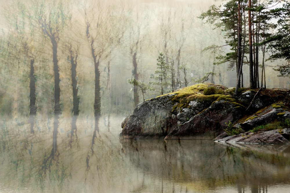 Tågeskovssøen af Christina Sillen