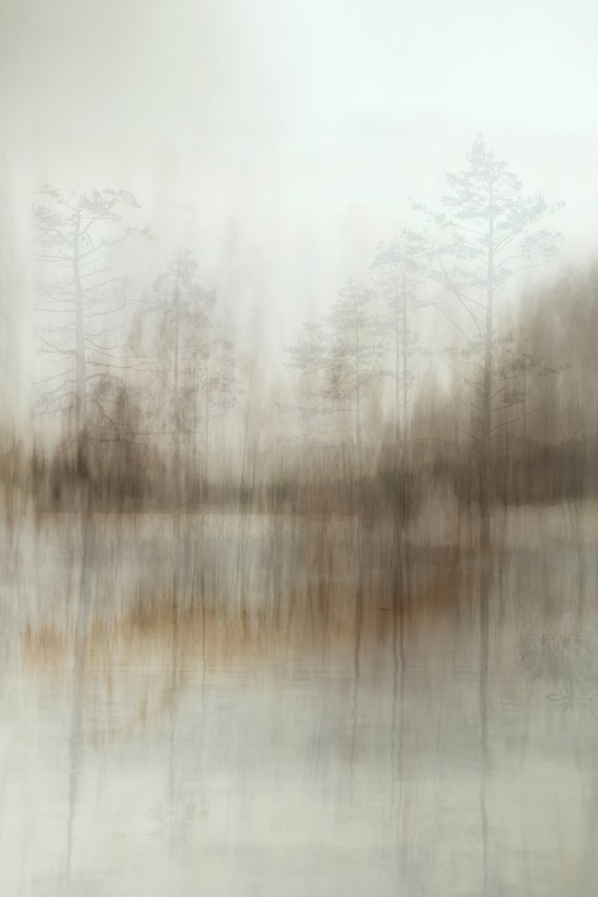 Refleksioner fra den tågede skov af Christina Sillen