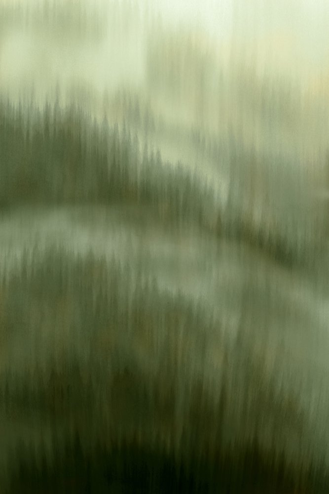 Fred og ro i den tågede skov af Christina Sillen