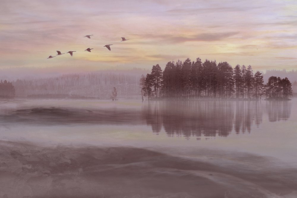 Fugleflugt over Misty Lake af Christina Sillen