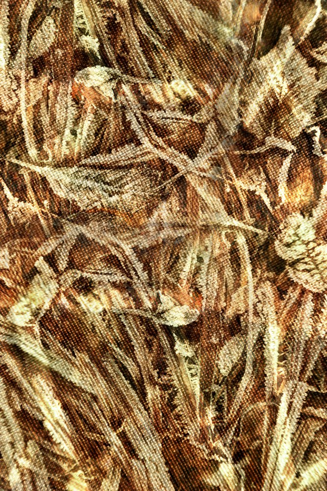 Naturligt camouflagemønster af Christina Sillen