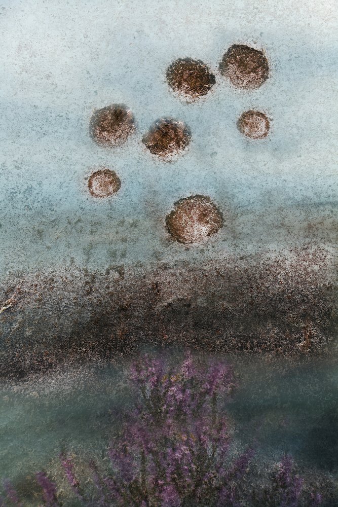Lilla blomster og en abstrakt himmel af Christina Sillen