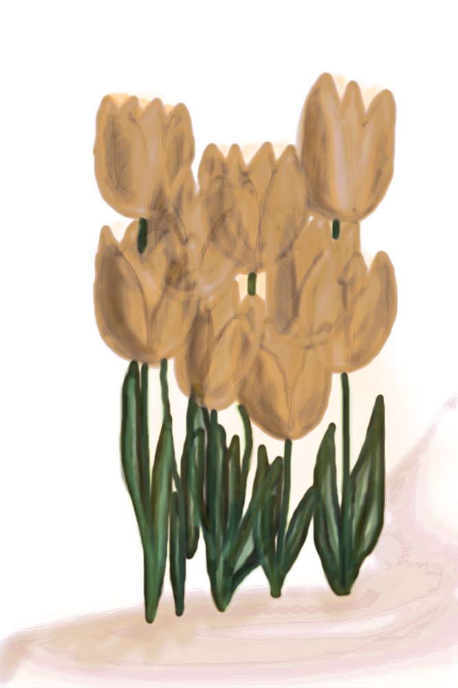 Bløde beige tulipaner af Christina Sillen