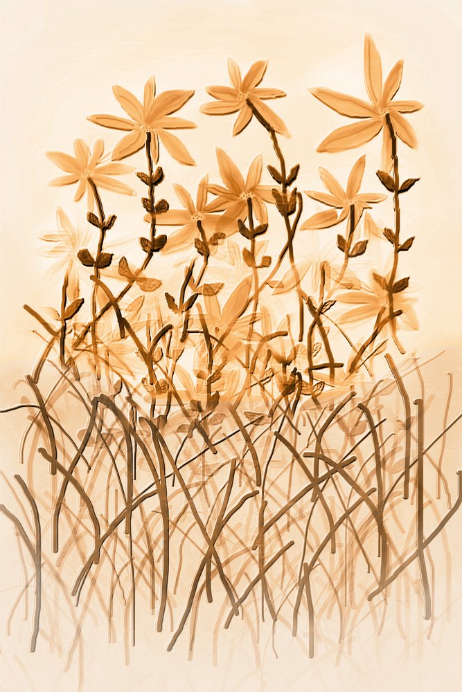 Varm sepia-botanik af Christina Sillen