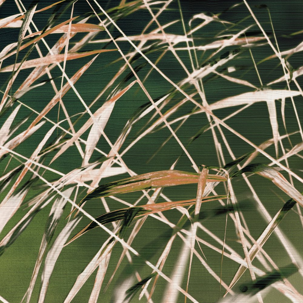 "Whispering Reeds" – Resumé af Christina Sillen