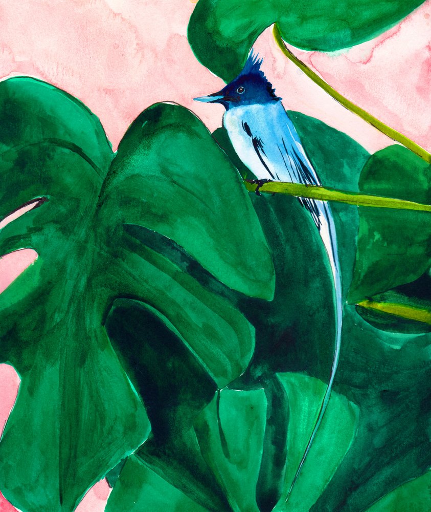 Tropisk fugl på et Monstera-blad af Christine Lindstrom