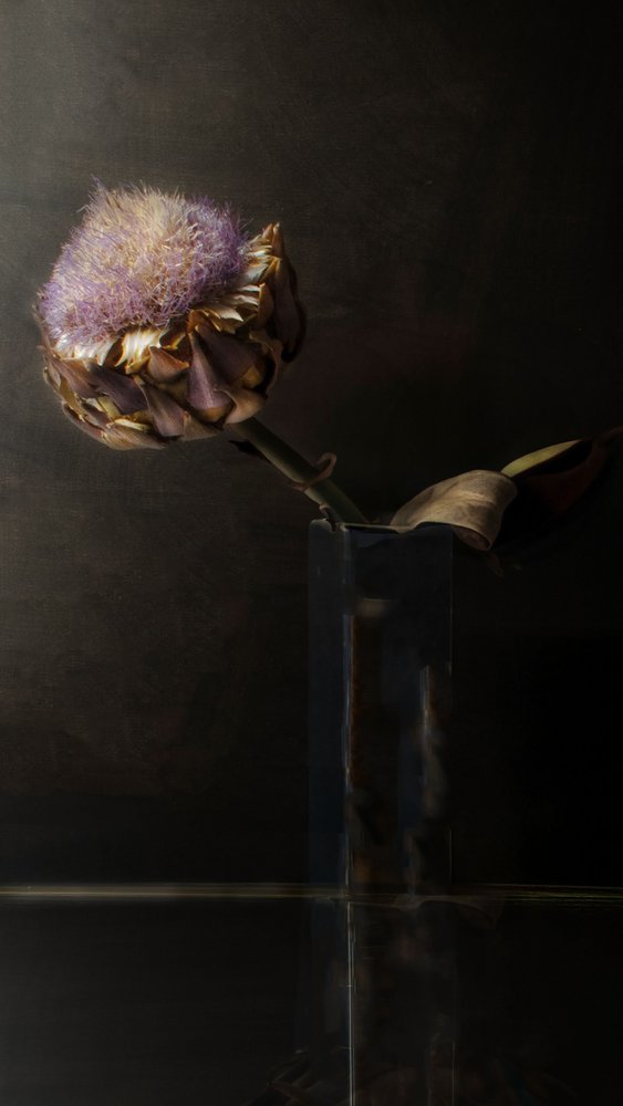 Stemningsfuld artiskokblomst af Christine SUISSIA