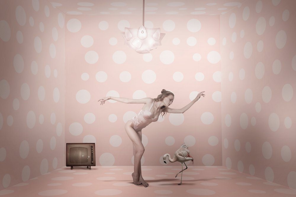 Lyserød flamingo-danser med prikker af Christine von Diepenbroek