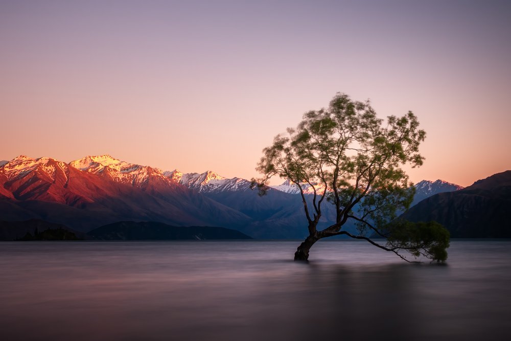 Twilight Lake Lone Tree af Christoph Schaarschmidt