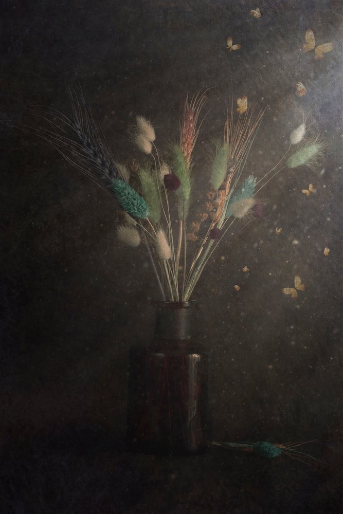 Mørke blomster-sommerfugle af Cicek Kiral