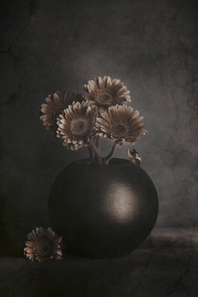 Mørke blomster med en frø af Cicek Kiral