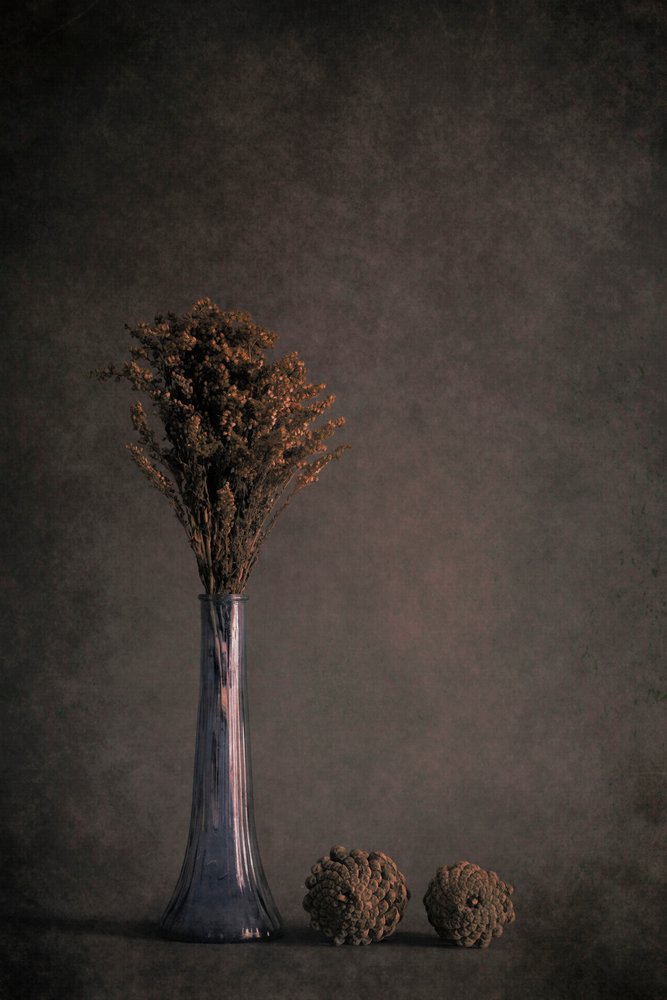 Tørret botanisk stilleben af Cicek Kiral
