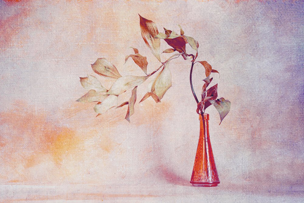 Falmede blade, orange vase af Cicek Kiral