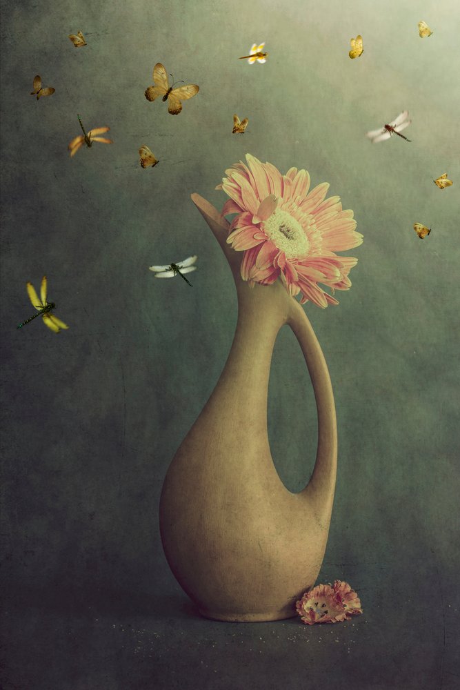 Gerbera-vase og flyvning af Cicek Kiral