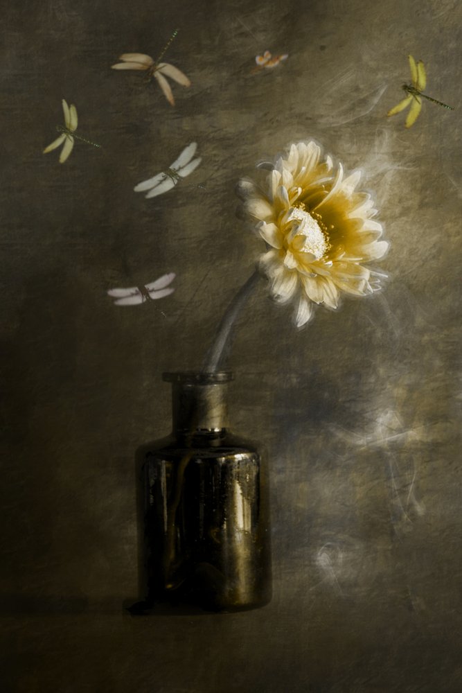 Golden Bloom-guldsmede af Cicek Kiral