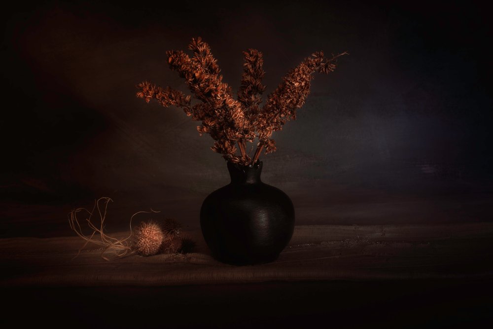 Moody Tørrede planter af Cicek Kiral