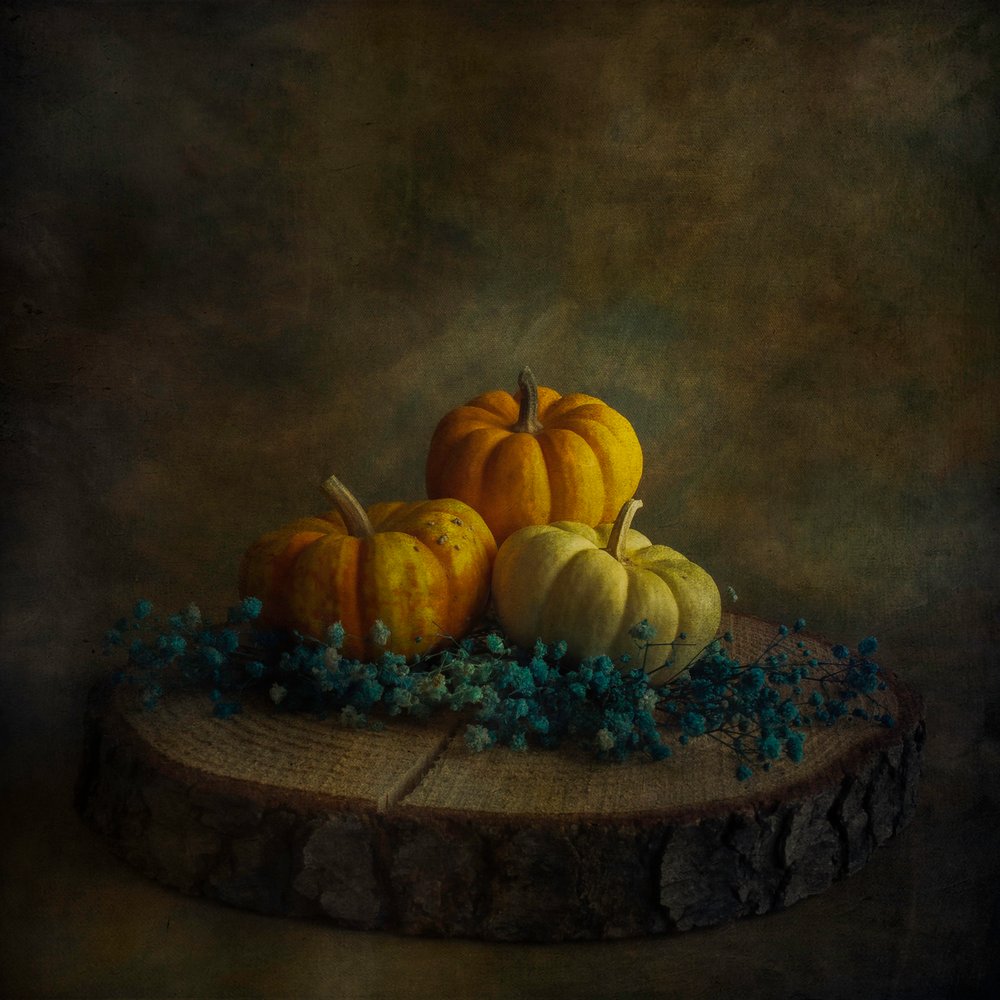 Moody Harvest-græskar af Cicek Kiral