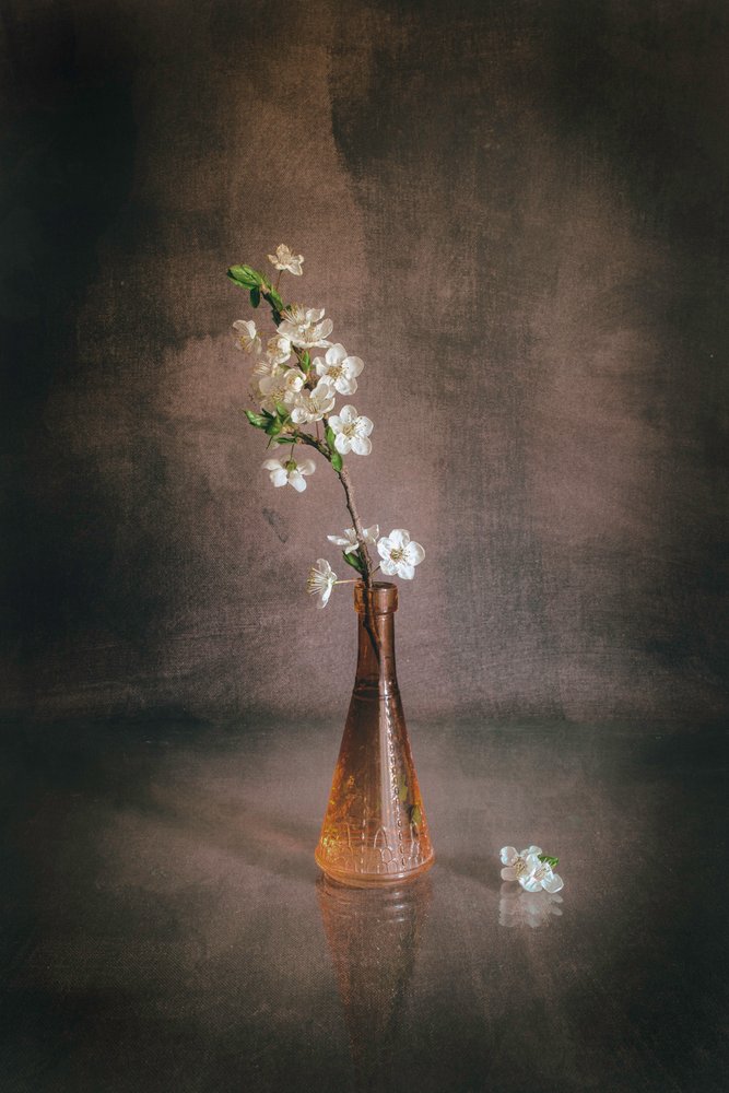 Vase med hvide kirsebærblomster af Cicek Kiral