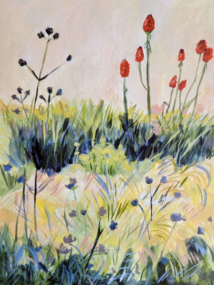 Farverige sommerblomster af Claire Whitehead