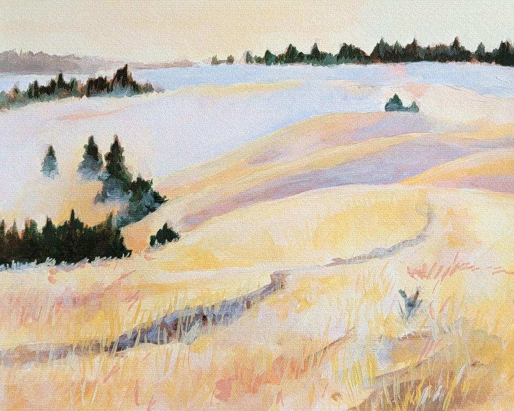  af Claire Whitehead