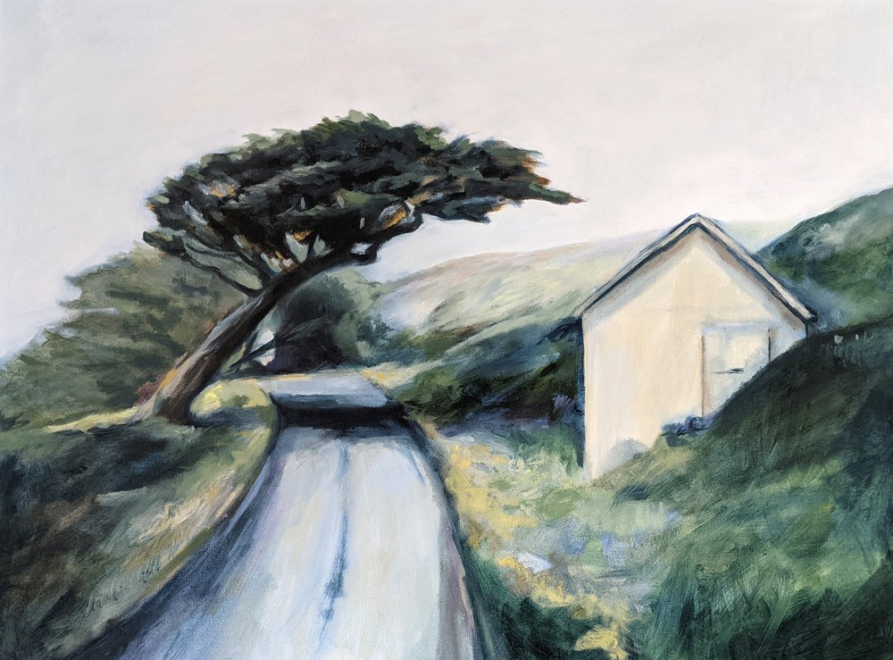 Den snoede landevej hjemad af Claire Whitehead