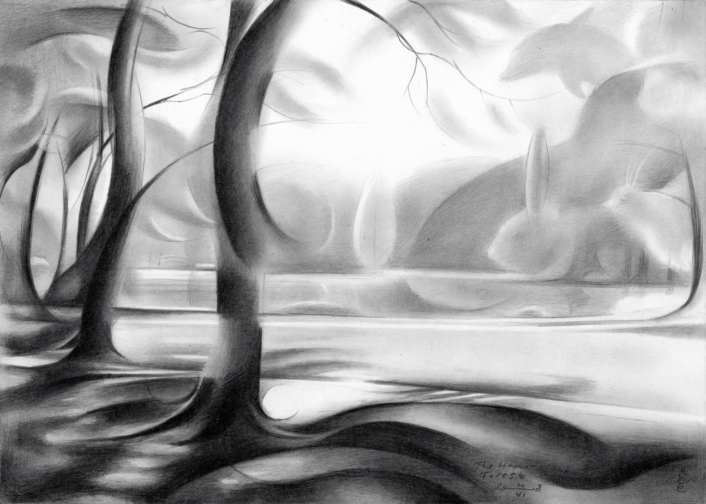 Refleksioner fra den mystiske skov af Corné Akkers