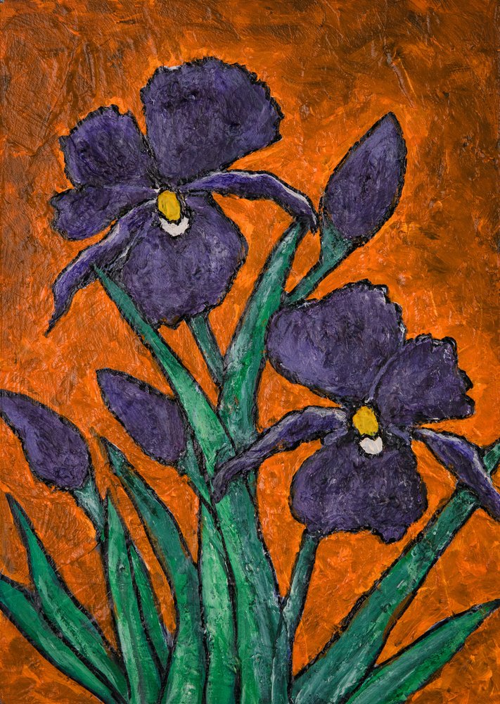 Levende lilla iris af Dale Hefer & Family