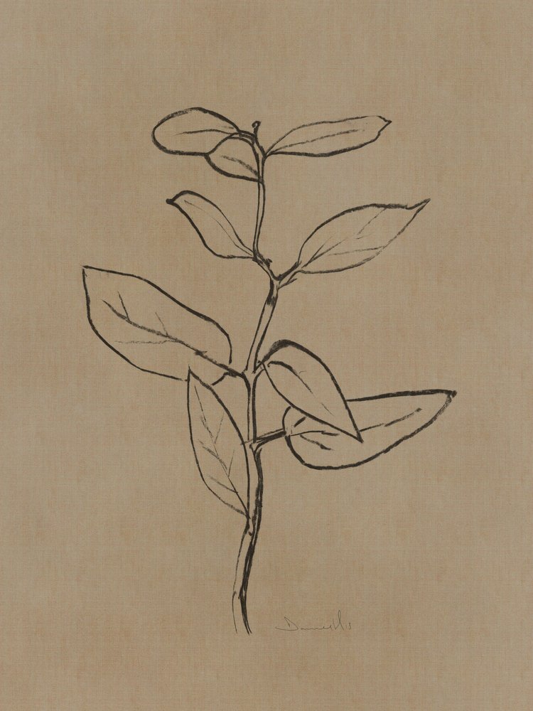 Eukalyptus-træ af Dan Hobday