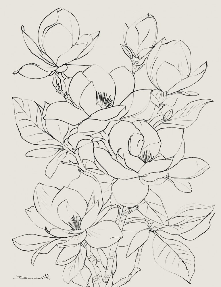 Magnoliatræ af Dan Hobday