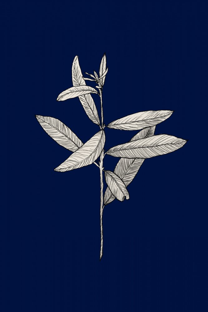  af Danushka Abeygoda